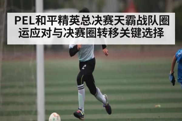 PEL和平精英总决赛天霸战队圈运应对与决赛圈转移关键选择