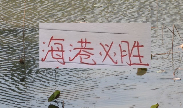 开云体育app-申花两场热身赛都没有赢 ，还就看新阵容海港能否热身起飞了